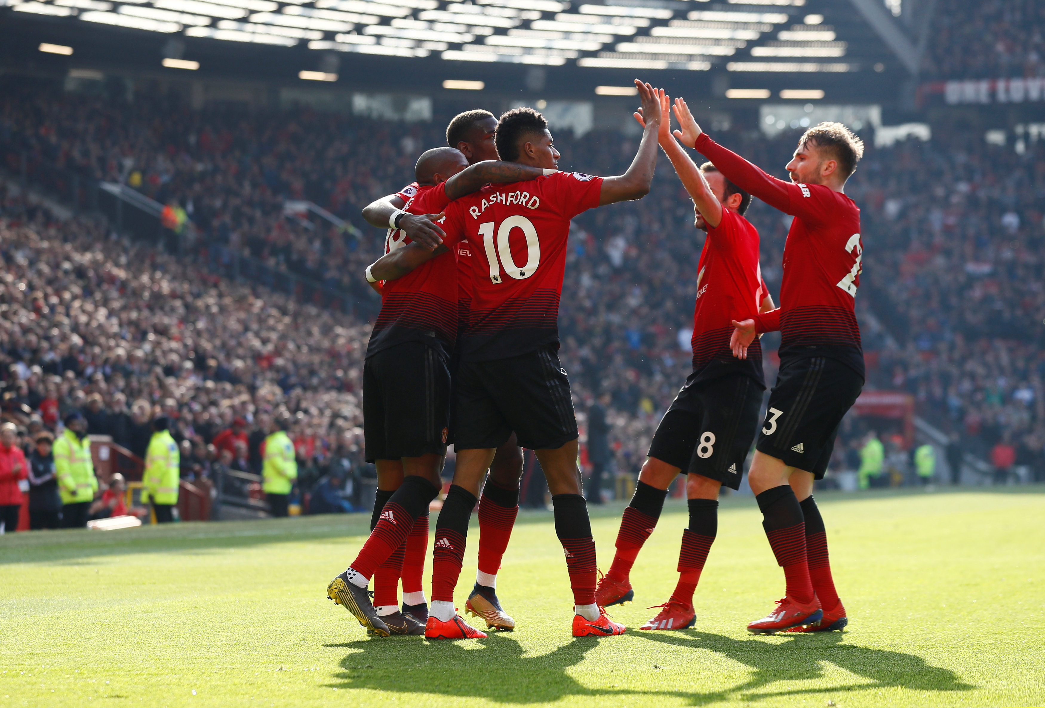 了鵜鶘近期 了鵜鶘近期