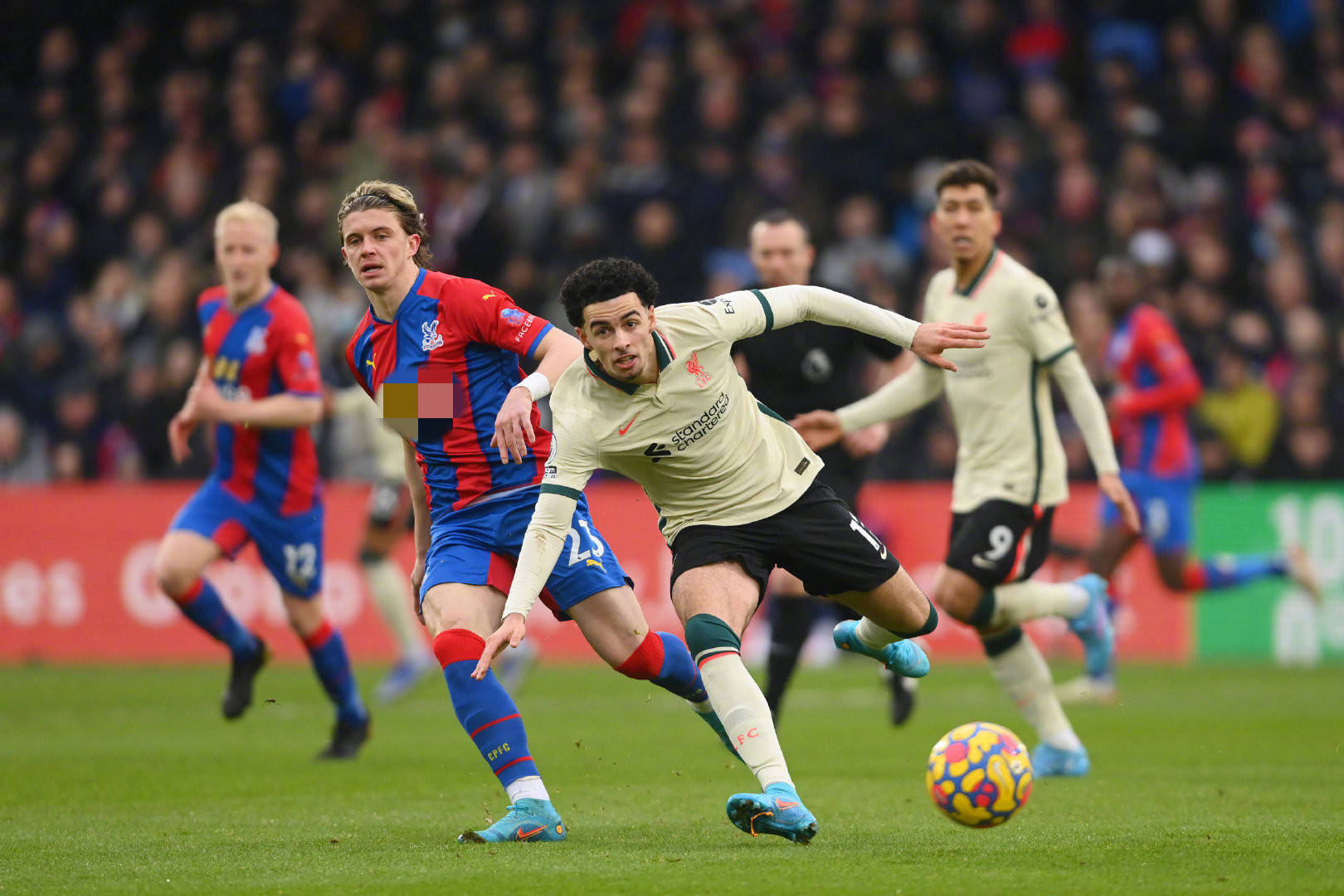 造了更多进 造了更多进